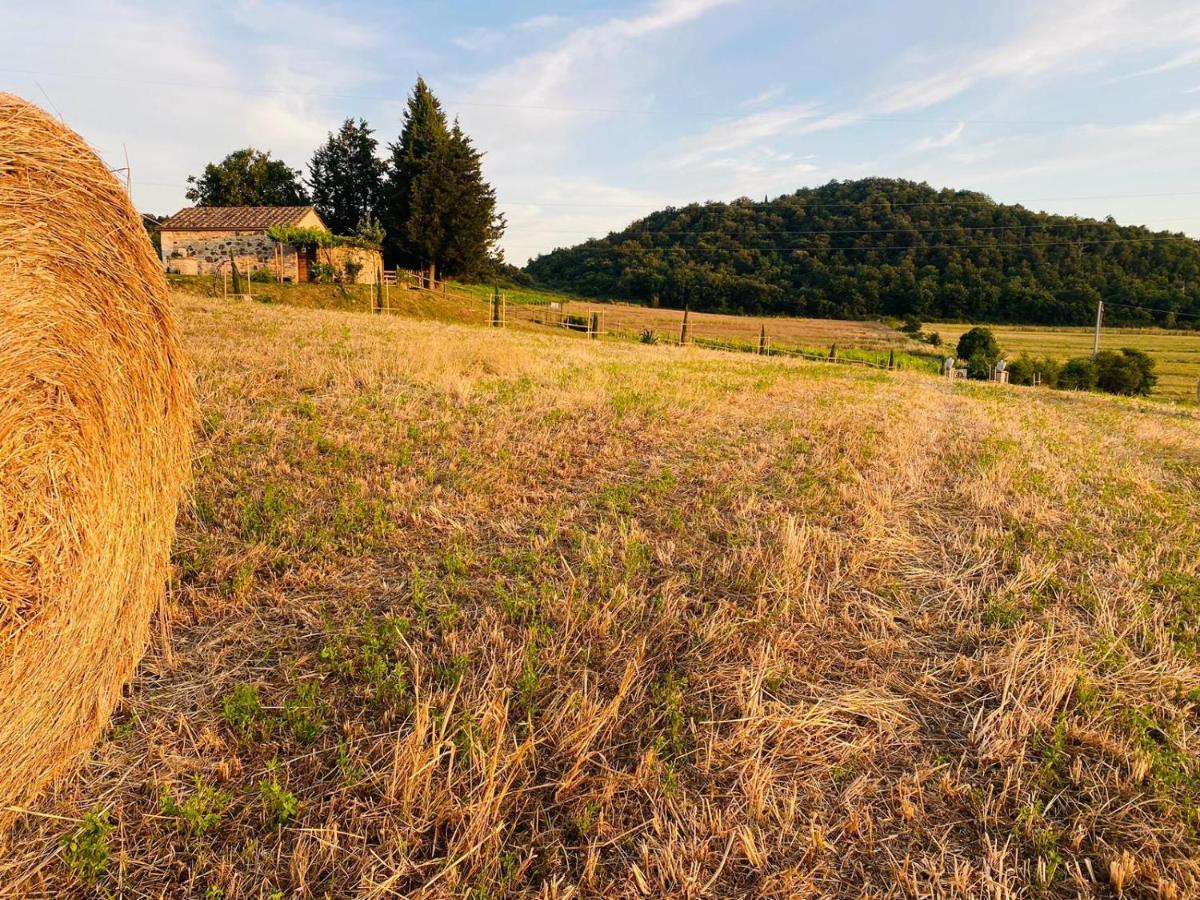 Podere La Selva 拉波拉诺泰尔梅 外观 照片