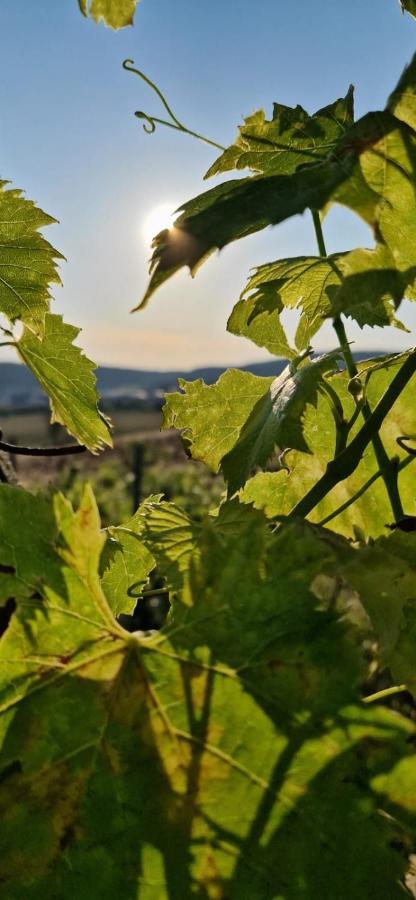 Podere La Selva 拉波拉诺泰尔梅 外观 照片