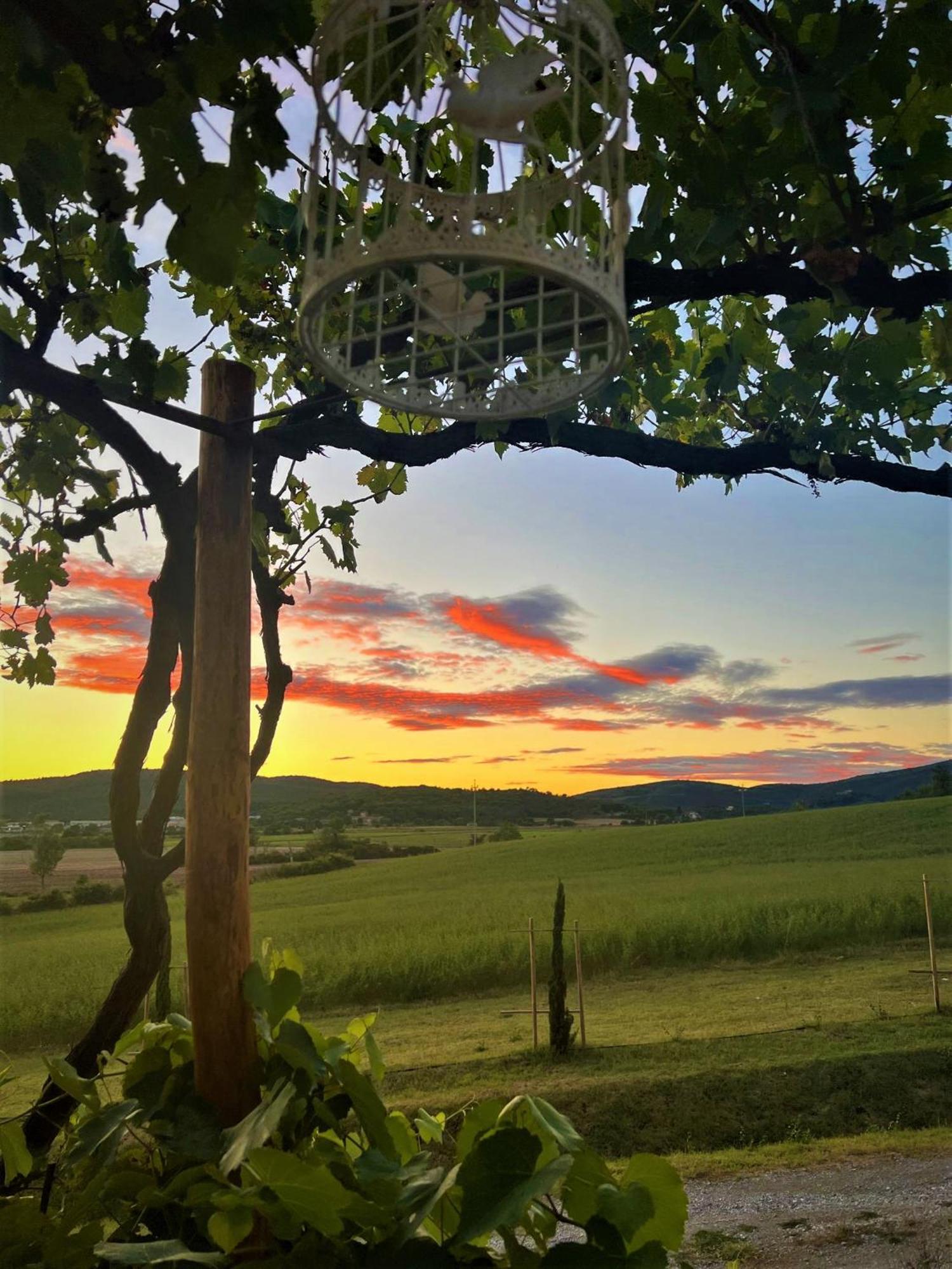 Podere La Selva 拉波拉诺泰尔梅 外观 照片